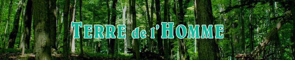 Terre de l'homme