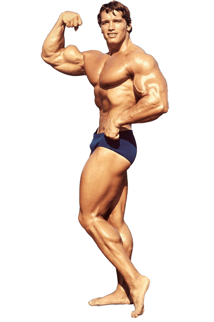 Arnold-Schwarzenegger-Bodybuilding