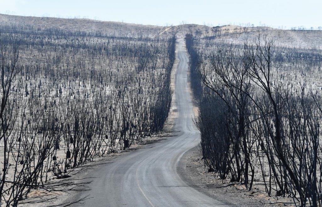 Australia_Bushfires