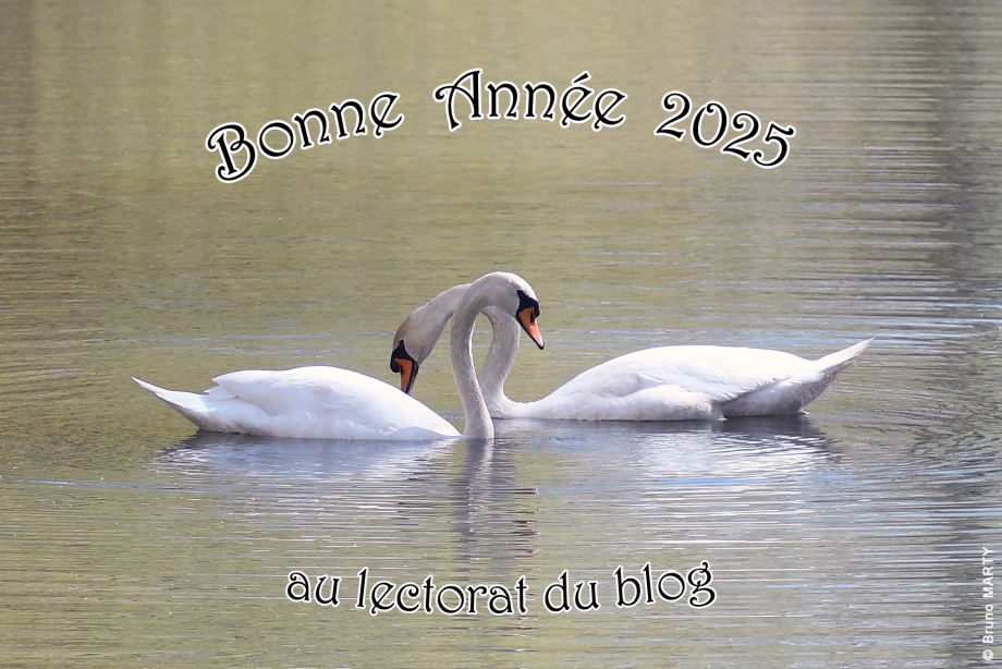 Bonne Année 2025 - blog