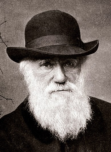 Charles_Darwin_1880