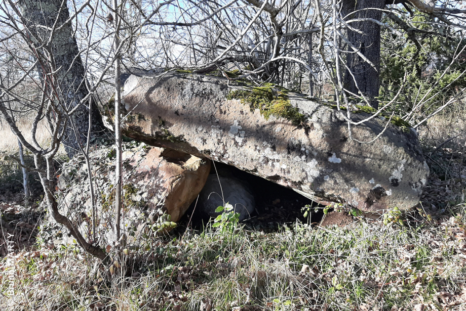 Dolmen de Cayre Leva