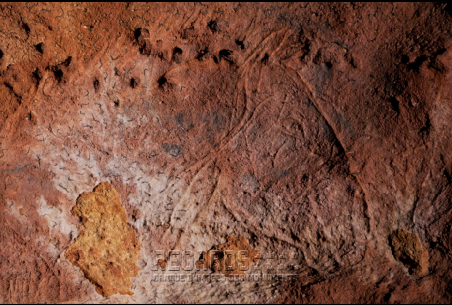 Grotte des Combarelles, tête gravée d\\\'Equus