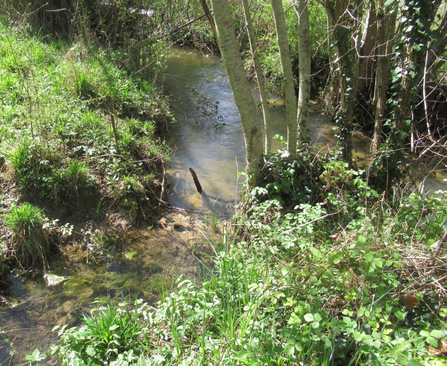 Jonction de la source au Raunel