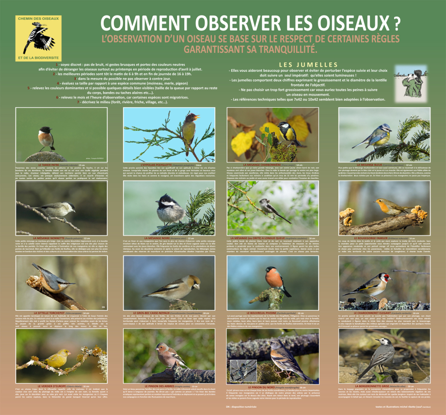 OISEAUX 2°°° - TdN