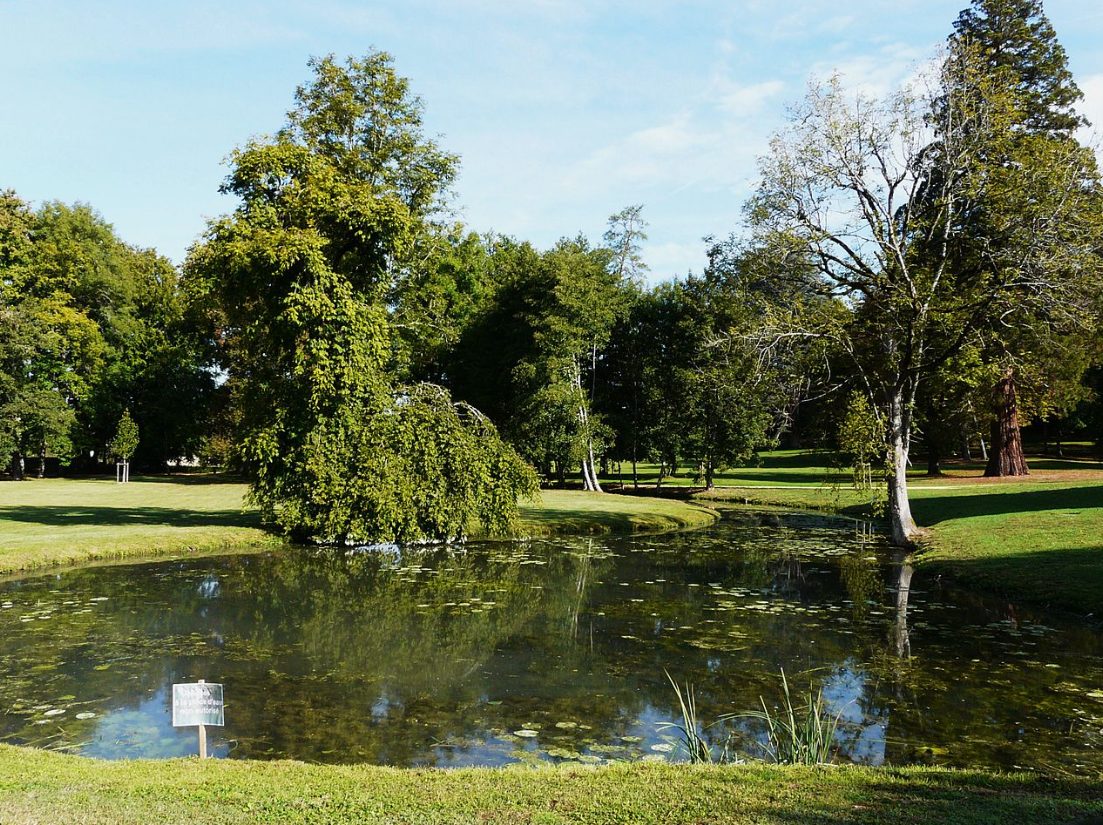 Parc chât Campagne