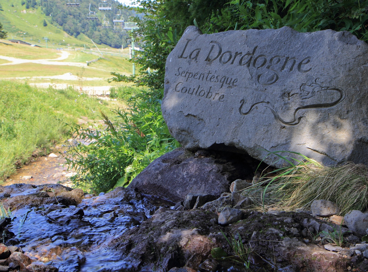 Source de la Dordogne