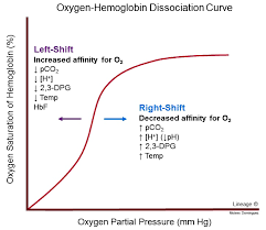 Oxyhemoglobin dissociation curve 2