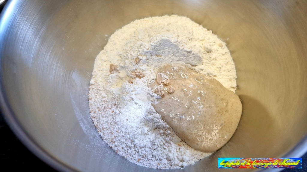 Ajouter le levain et la levure émiettée aux farines