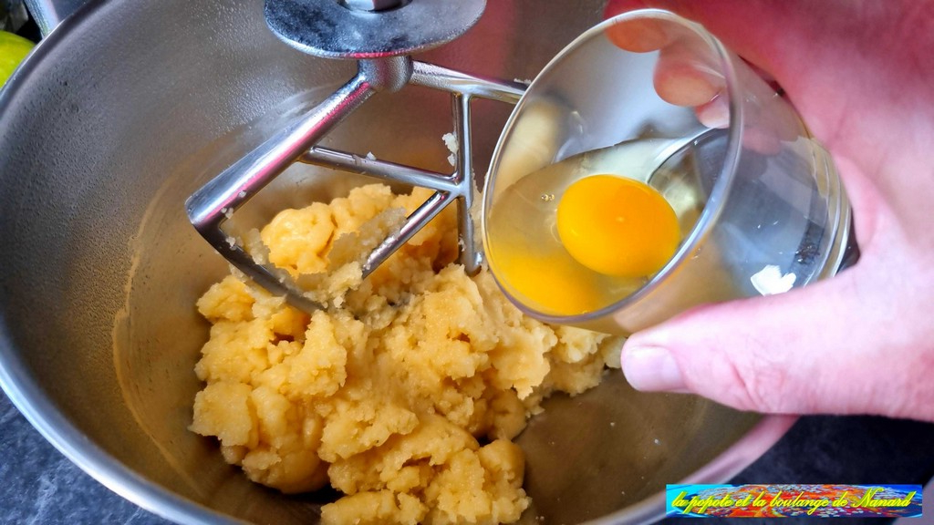 Ajouter un premier œuf