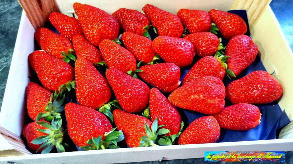 Choisir de belles et grosses fraises