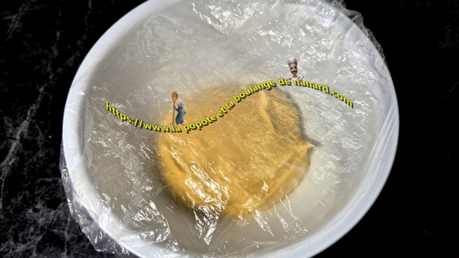 Couvrir le cul de poule puis laisser pousser la pâte 1 heure à température ambiante