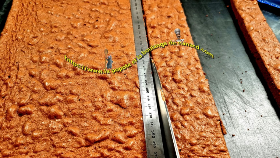 Découper une nouvelle bande de biscuit aux dimensions du moule