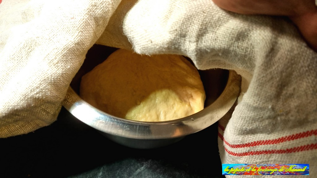Déposer la pâte dans un cul de piule propre, le couvrir d\\\'un linge puis laisser reposer 1 heure à température ambiante