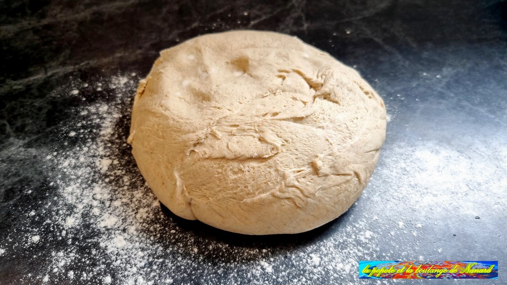 Déposer la pâte sur le plan de travail fariné (2)