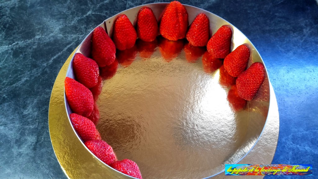 Disposer correctement les fraises face coupée sur le contour du cercle