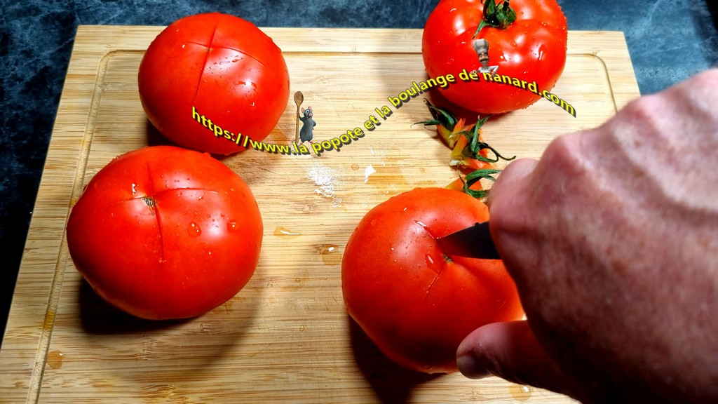 Enlever les pédoncules puis faire une croix au couteau sur chaque tomate du côté lisse