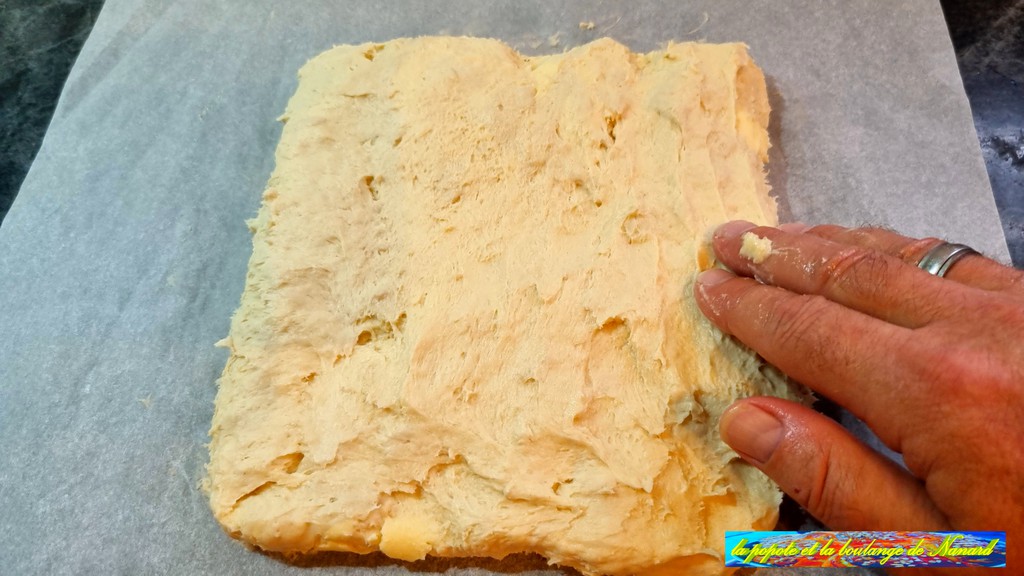 Étaler avec les doigts la pâte en un carré de 20 cm