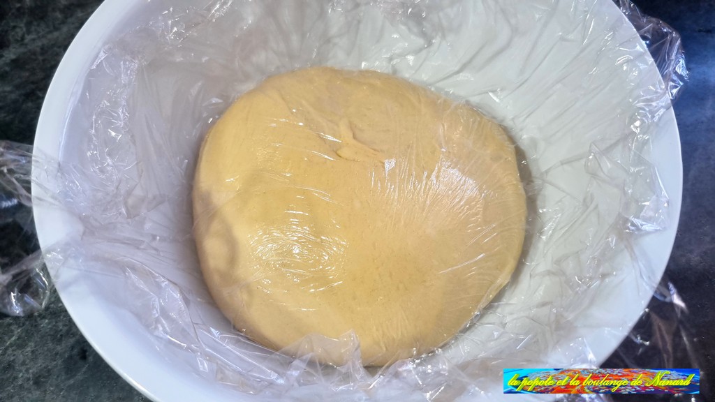 Filmer la pâte au contact puis la laisser pousser 1 heure à température ambiante