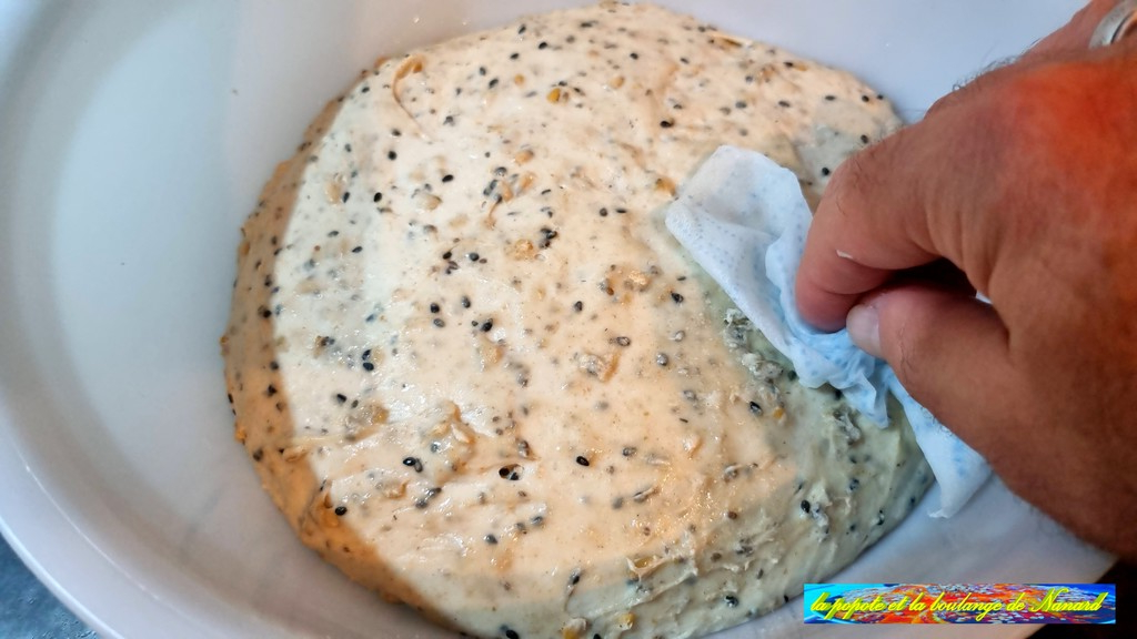 Humidifier avec un papier absorbant le dessus de la pâte
