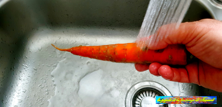 Laver la carotte