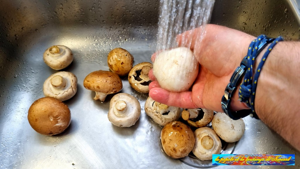 Laver les champignons