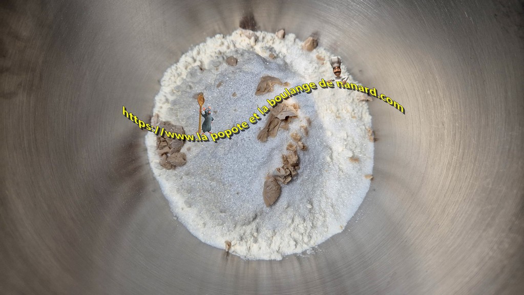 Mettre dans l\\\'ordre dans la cuve du robot le sel, la farine, le sucre et la levure émiettée
