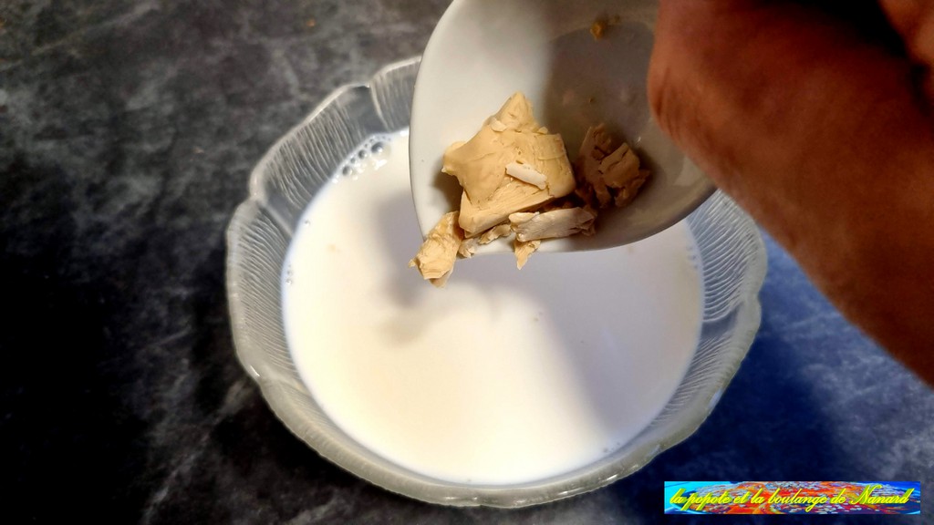 Mettre la levure dans le lait tiède (35°C environ)