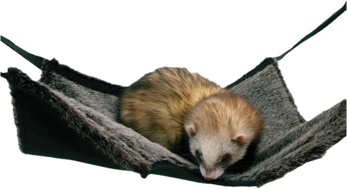 A D furet 9