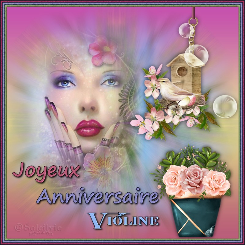 anniv Violine