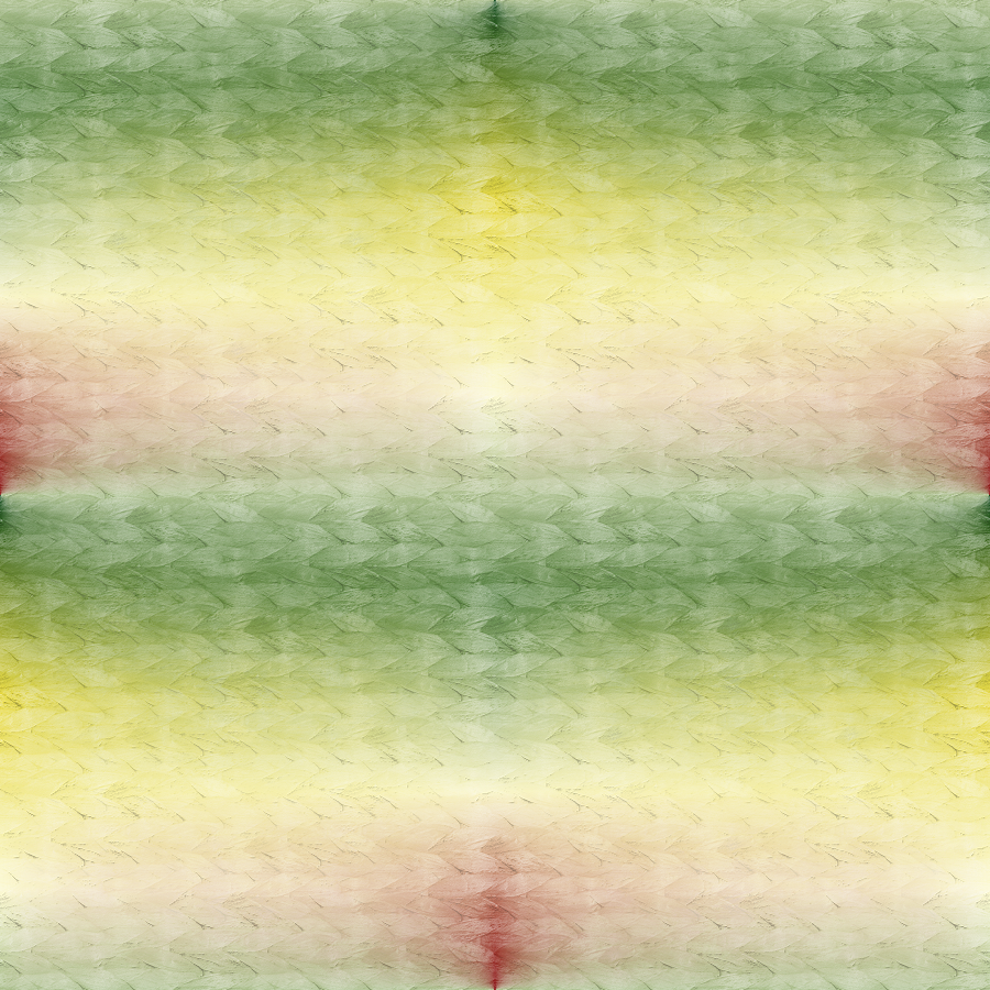 fond-multicolor-12--2023-.png