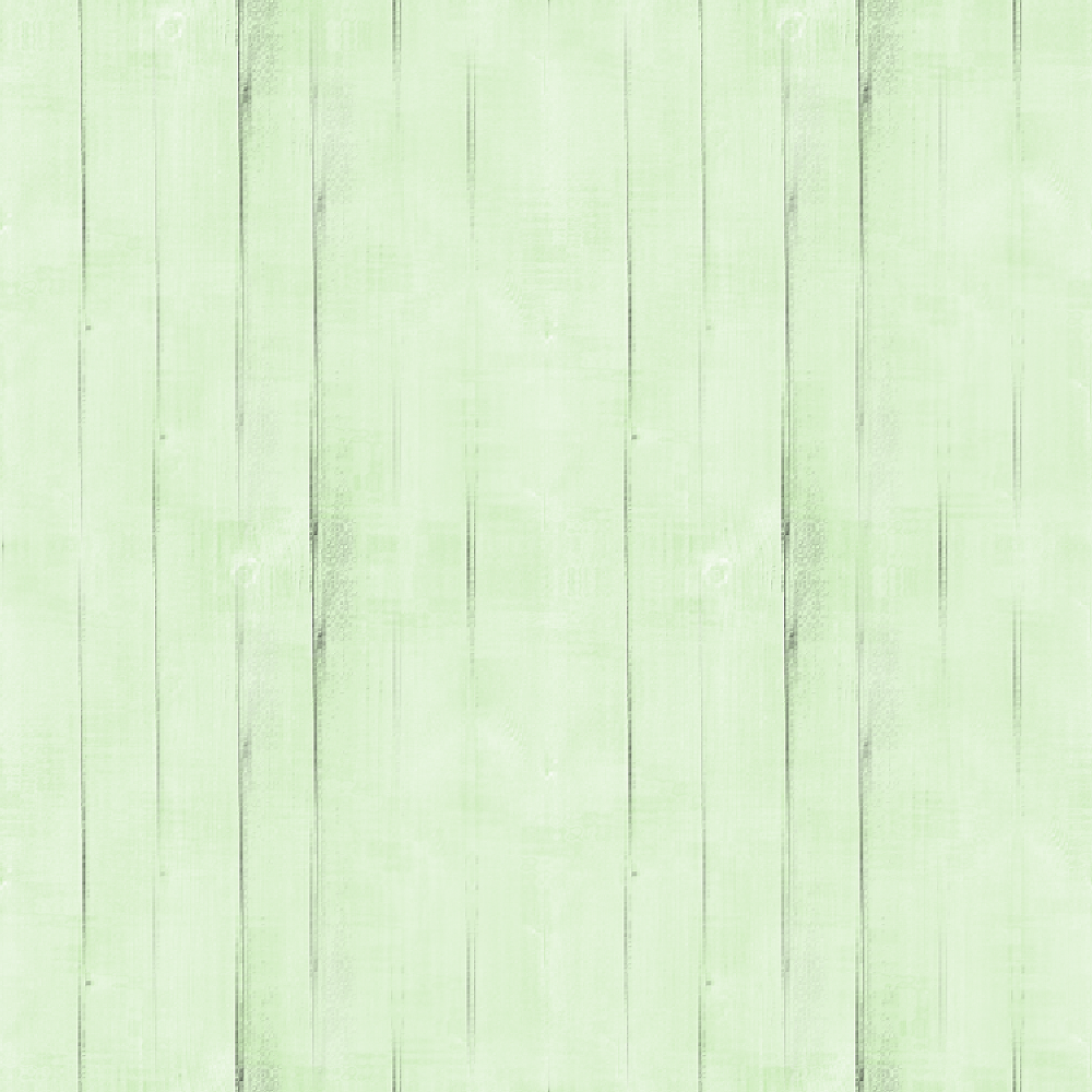 fond-vert-5--2022-.png