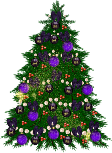 sapin 73