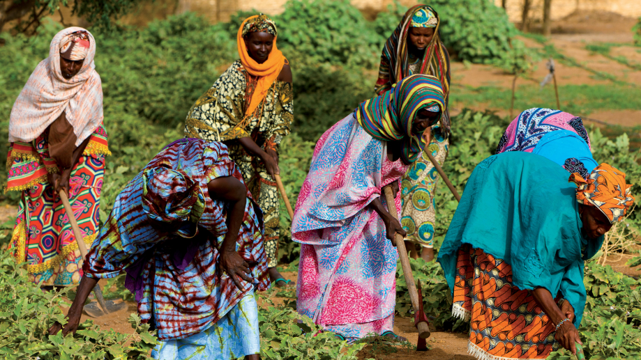 potagers-senegal-GMV-1920x1080
