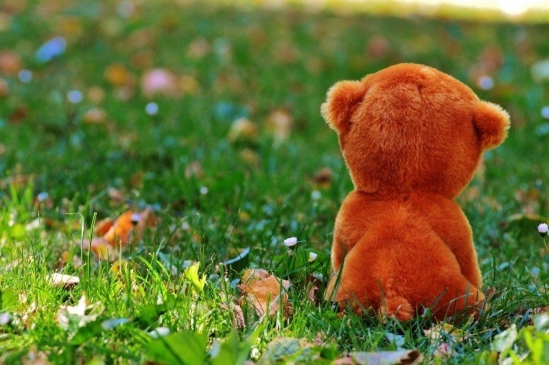 teddy-bear-stuffed-animal-farewell-miss