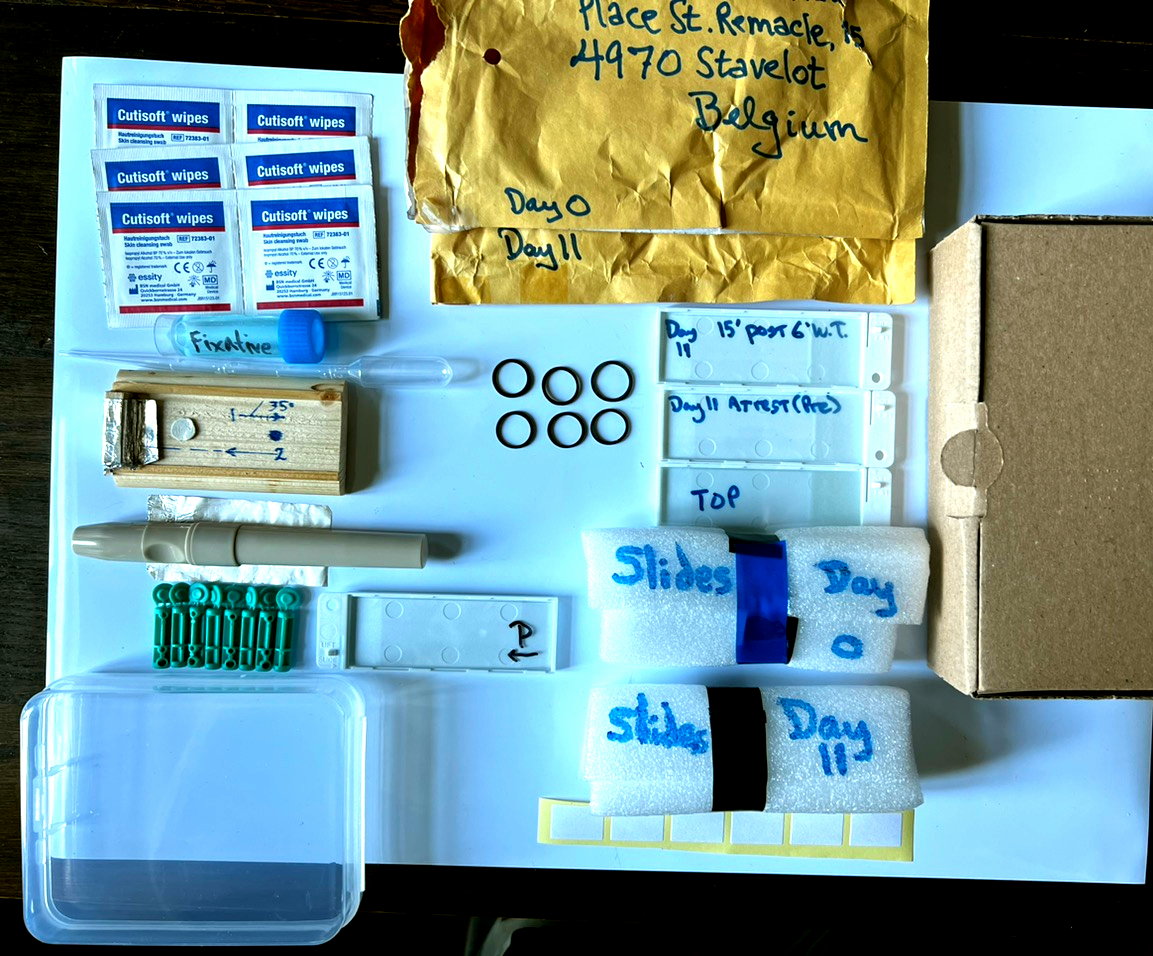 Contents of peripheral smear kit box
