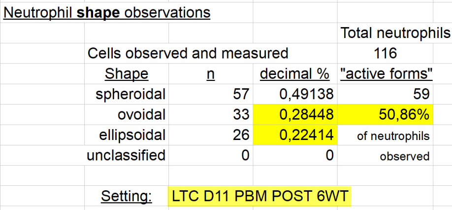 Neutrophil shape observations - LTC D11 PBM POST 6WT