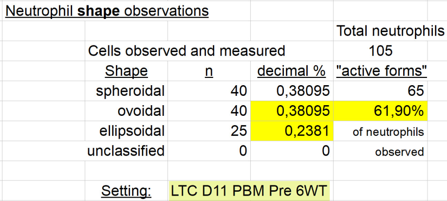 Neutrophil shape observations - LTC D11 PBM Pre6WT