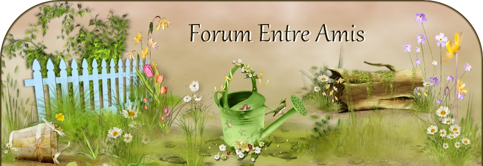 forum-entre-amis.blog4ever.com