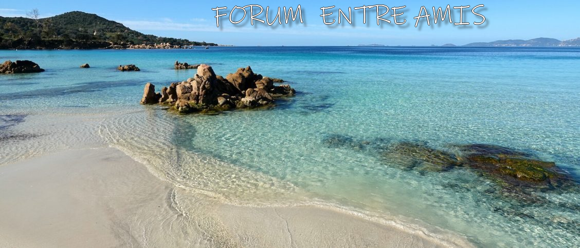 forum-entre-amis.blog4ever.com