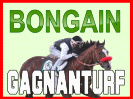 bongaingagnanturf