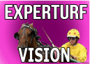 EXPERT VISION TURFF