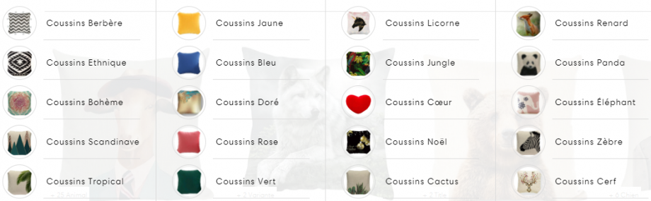 Différents types de coussins adaptés à la décoration