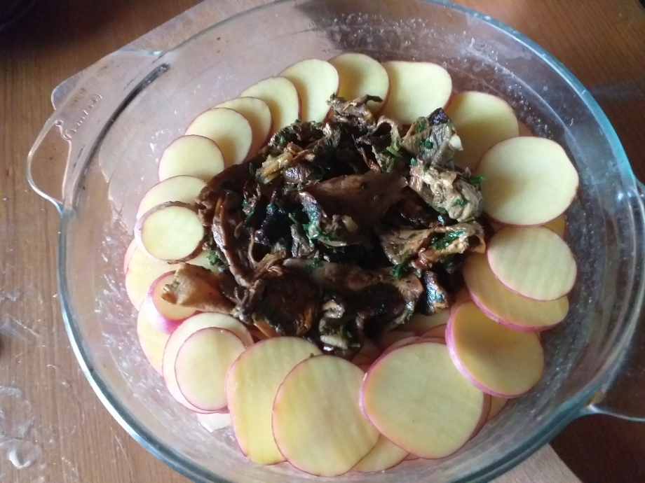 gateau de pomme de terre aux cèpes 2