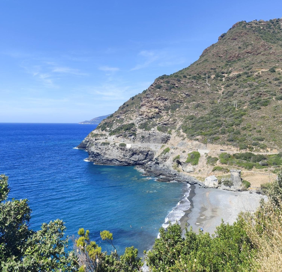 Corse J1