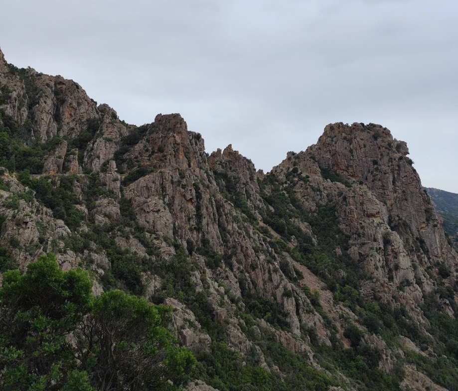 Corse J3