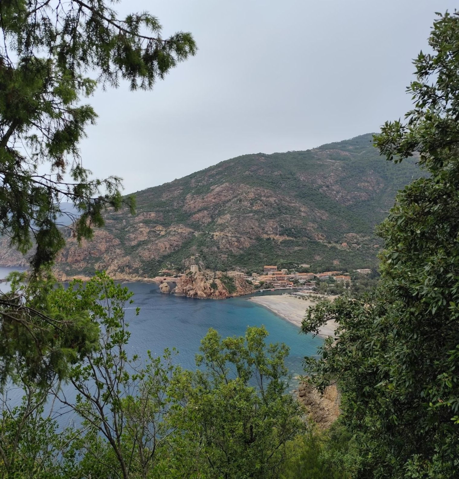 Corse J3