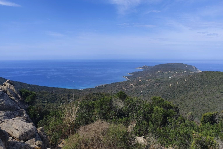 Corse J8