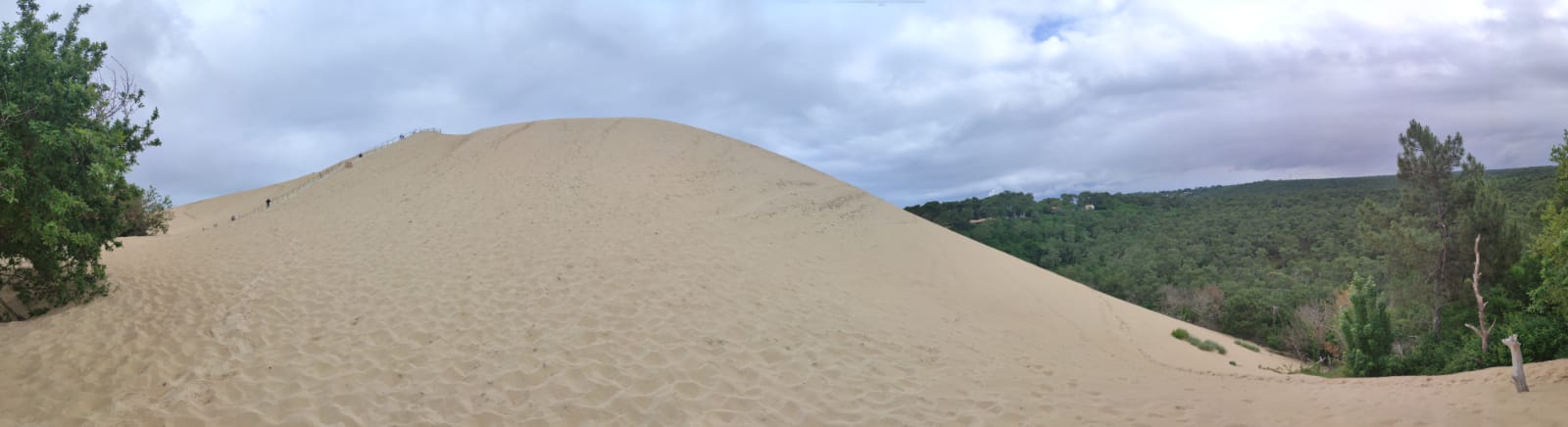 dune Pilat (2)