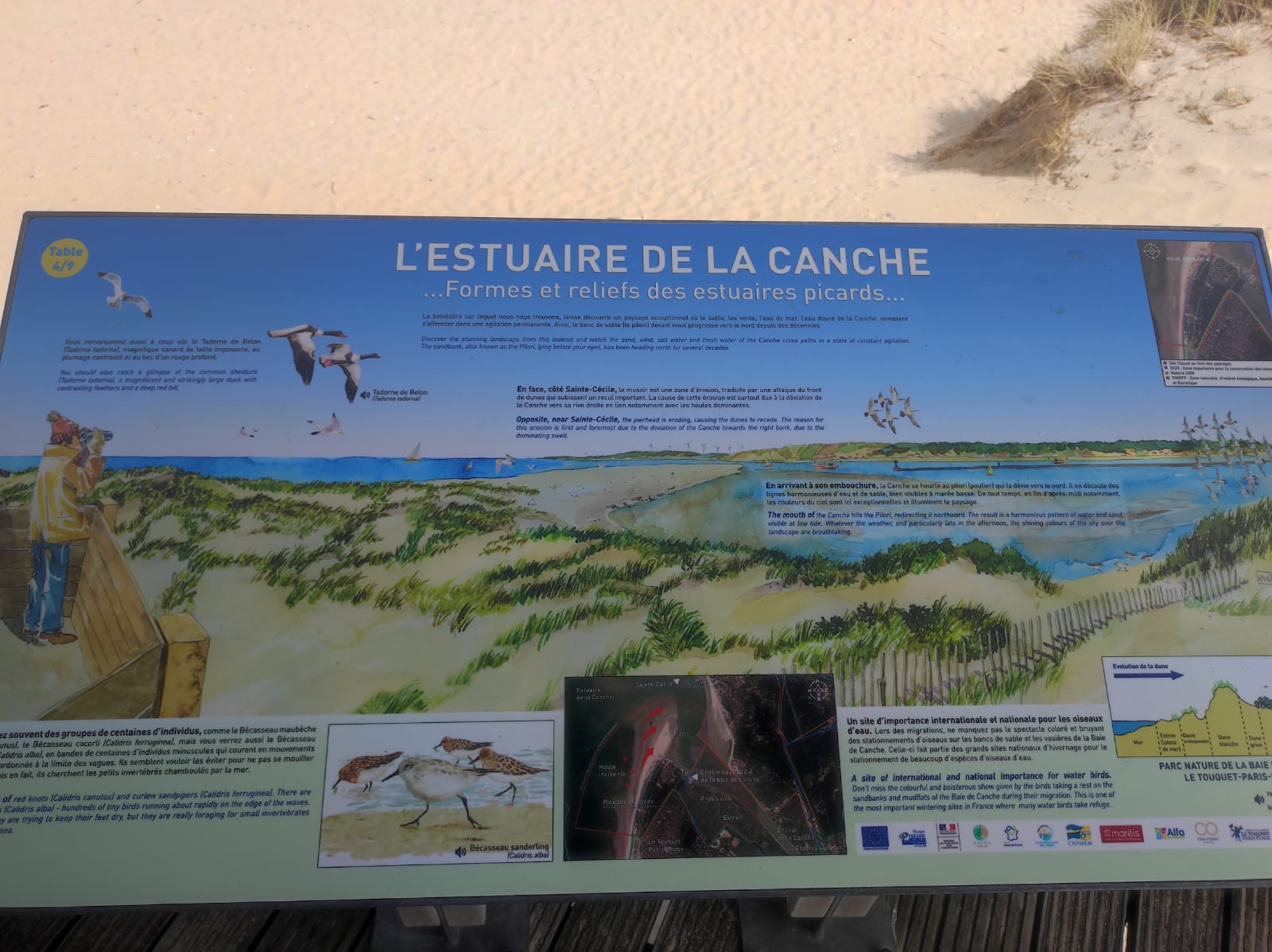 l estuaire de la canche